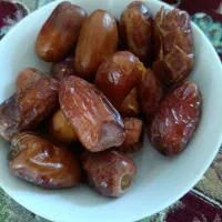 درخت خرما (نخل)|گل و گیاه طبیعی|اردکان, |دیوار