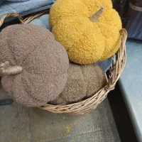 کوسن کدو تدی دکور مبل و تخت