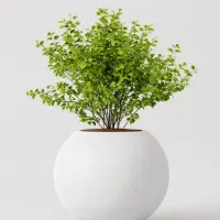 گلدان فایبرگلاس دکوراتیو بزرگ|گل و گیاه طبیعی|تهران, خاوران|دیوار