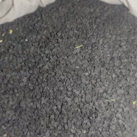 بزر پیاز قرمز درجه یک