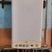 تعمیر و سرویس انواع پکیج و آبگرمکن|خدمات پیشه و مهارت|ایلام, |دیوار