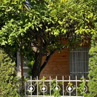 فروش-کلنگی-350-متری-متل-قو-بلوار-دریاگوشه