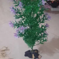 گیاه مصنوعی اکواریوم
