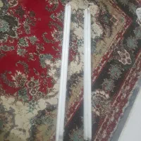 مهتابی سالم