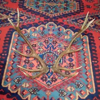 یه جفت شاخ دکوری آنتیک مناسب دکور