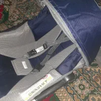 روروئک کالسکه کریر