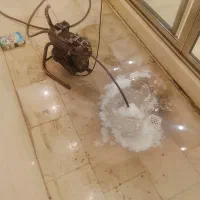 لوله بازکنی تمام مناطق کرج فنر زنی چاه بازکنی۲۴ری