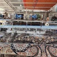 راننده قالیشویی