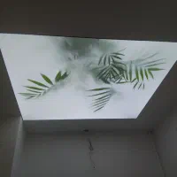 طراحی و اجرا تخصصی کشسان