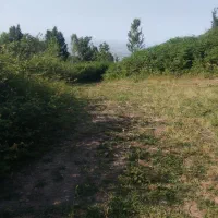 فروشی-با-سند