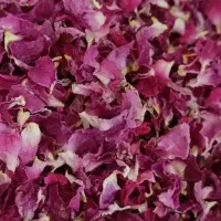 گل محمدی منطقه ییلاقی