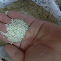 برنج هاشمی طبیعت|خوردنی و آشامیدنی|ری, شهادت|دیوار