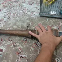 تنه چوبی قلیان|کلکسیون و سرگرمی|پاکدشت, پاکدشت (مامازند)|دیوار