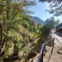 تور نیمروزه ی انگلیسی|تور و چارتر|فشم, |دیوار