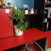 فروش سرویس میز تحریر و جا کتابی