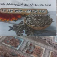 وزیتور برای بخش اجیل