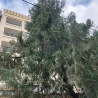 خریدی هوشمندانه و‌ منحصر به فرد چند‌قدمی شماست