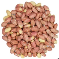 پخش بادام زمینی آستان اشرفیه گیلان