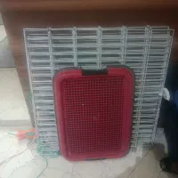 پارک سگ روکش سفید