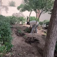 خدمات پیوندی باغبانی سم پاشی طرح فضای باغچه|خدمات باغبانی و درختکاری|تهران, شهرک غرب|دیوار