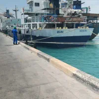 ترخیص کالا بصورت ملوانی ۵درصد وتجاری