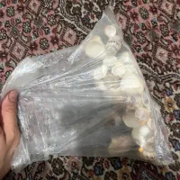 مقداری صدف دریا|ماهی|تهران, ستارخان|دیوار