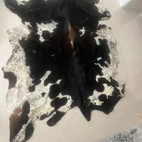 پوست گوساله