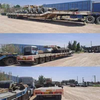 کمرشکن طارق دالی