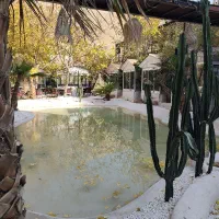 شاطر سالن کار باریستا