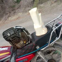 هرسنخلریگاندرمنزلو باغ|خدمات باغبانی و درختکاری|میناب, |دیوار