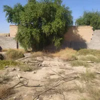 فروش750متر زمین آبادی داوود/ کد آگهی 11008 / nikan|فروش دفتر صنعتی، کشاورزی، تجاری|شوش, |دیوار