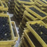 استخدام نیروی کار آقا در کارگاه تولید زغال حبه ای