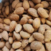 بادام سنگی ومغز فسنجانی و سفید|حراج|کرمانشاه, |دیوار