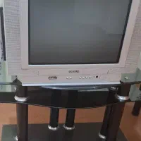 تلویزیون