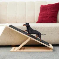 رمپ سگ و گربه