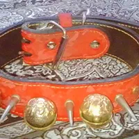 قلاده کینگ میخ‌دار سگ . فوق‌ شیک و محکم . طرح خاص