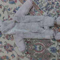 سرهمی درحدنو