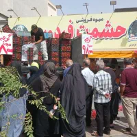 گوجه ربی گوشتی