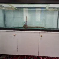 آکواریوم ومیز