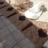 فروش پرده سلطنتی دسته دوم در حد نو