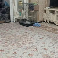 حیوانات مزرعه