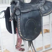 زین سوار کاری فروشی|اسب و تجهیزات اسبسواری|سنگر, |دیوار