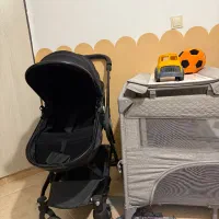 تخت کودک و کالسکه|تخت و صندلی بچه|نوشهر, |دیوار