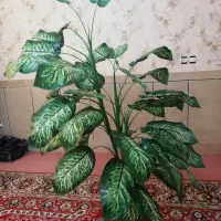 گل و گلدان دیفن مصنوعی