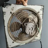 فن سالم نو نو