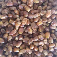 فروش خرما و انجیر