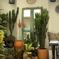 استخدام|استخدام خدمات فروشگاه و رستوران|نقده, |دیوار