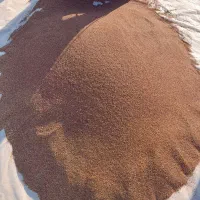 کنجد امسال دو تن نیم|خوردنی و آشامیدنی|محمله, |دیوار