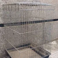 قفس عروس هلندی