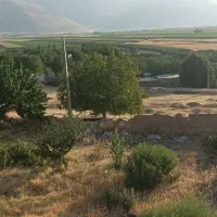 زمین ساختمانی|فروش زمین و ملک کلنگی|دینور, |دیوار